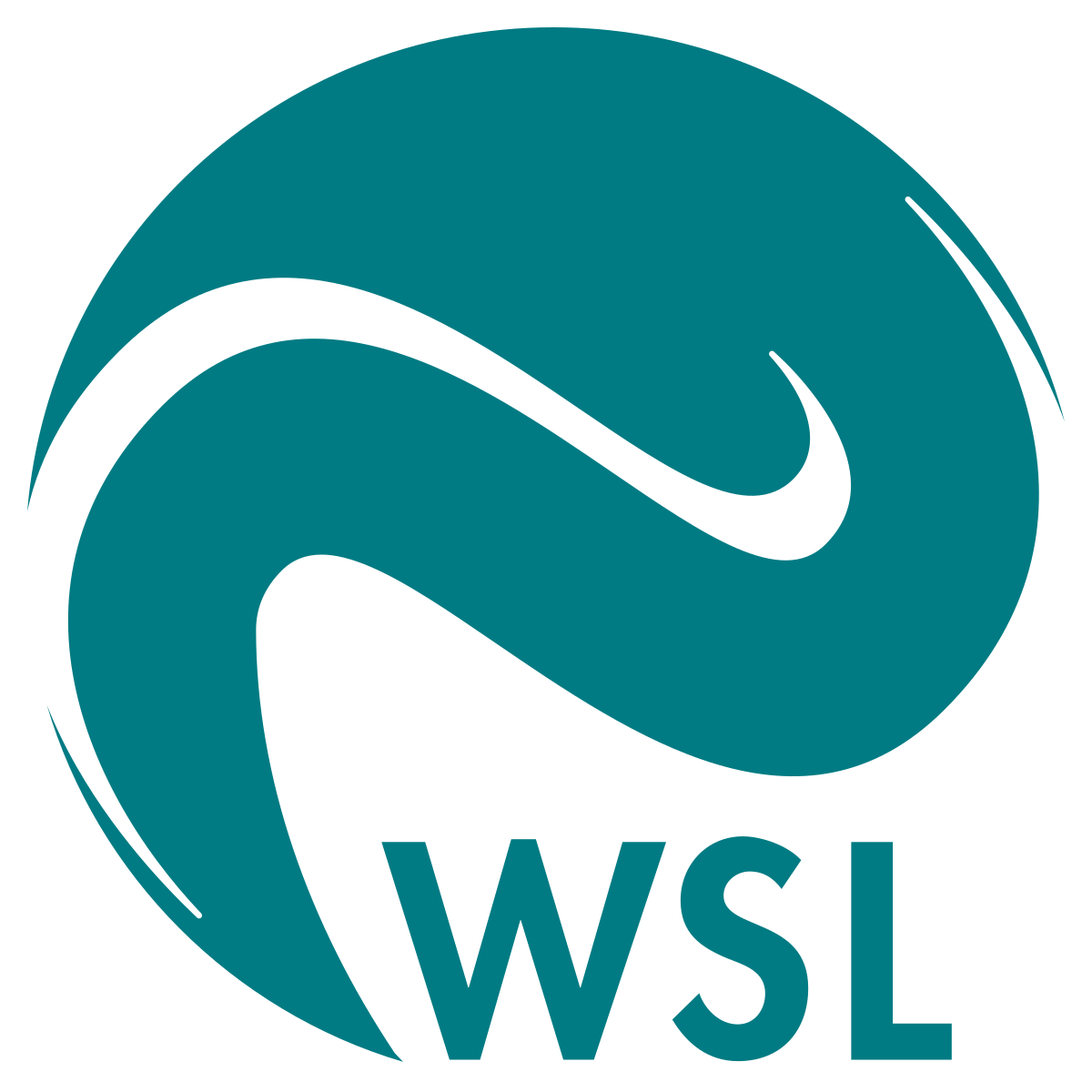 1200px Logo WSL svg