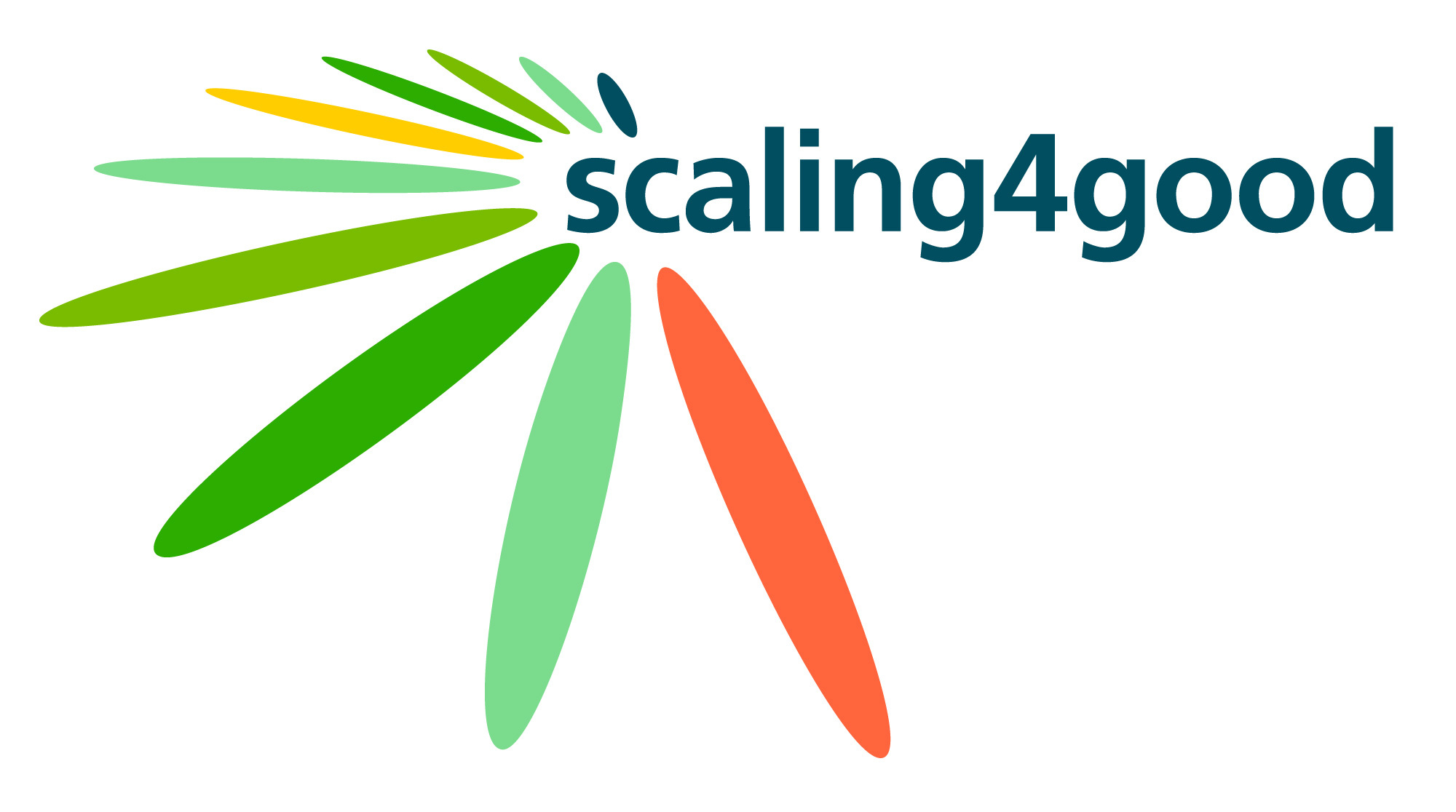 Logo s4g